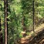 Photo of Sandys Canyon Trail