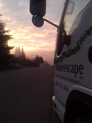Naturescape LLC Logo