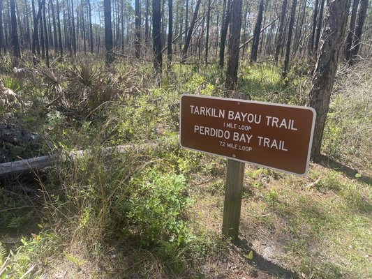 Tarkiln Bayou Preserve State Park by null