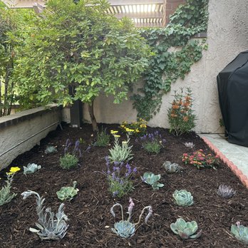 Green Plus Landscaping - Tree Services Near Me