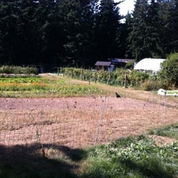 The farm!