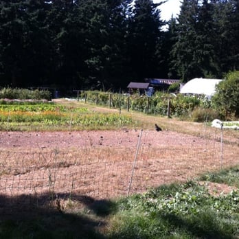 Nettles Farm - The farm! - Bed & Breakfast Near Me - Lummi Island, Washington