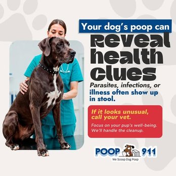 POOP 911 - Pet Waste Removal Near Me