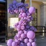 Photo of Balloon Architek