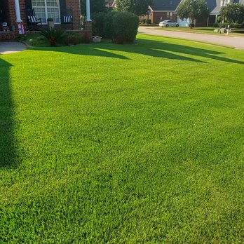 Thompson Lawn and Sprinkler - a freshly mowed lawn - Landscaping Near Me - Evans, Georgia Thompson Lawn and Sprinkler - a freshly mowed lawn - Landscaping Near Me - Evans, Georgia