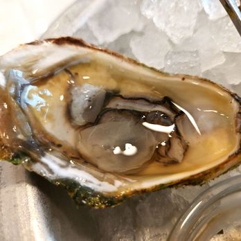 Little Em's Oyster Bar - Plain Oyster - Seafood Near Me - San Antonio, Texas Little Em's Oyster Bar - Plain Oyster - Seafood Near Me - San Antonio, Texas