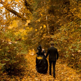 River and Root Photography - Fall WA elopement in Olympic National Park. - Event Photography Near Me - Denver, Colorado