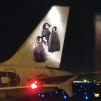 Frontier Airlines - Airlines Near Me - Orlando, Florida