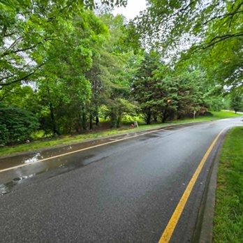 Whites Tree Services - Tree Services Near Me - Lenoir City, Tennessee Whites Tree Services - Tree Services Near Me - Lenoir City, Tennessee