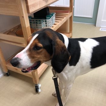 Pets Aloud Veterinary Services - Veterinarians Near Me - Mahwah, New Jersey Pets Aloud Veterinary Services - Veterinarians Near Me - Mahwah, New Jersey