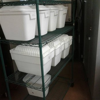 Spartan Delivery Services - Dinner Delivery dinnerdelivery.net - Couriers & Delivery Services Near Me