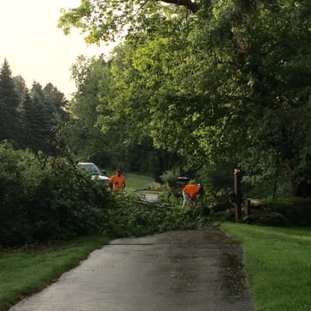 Infinity Tree & Outdoor Services - Tree limb fell last night at 7pm, guys were able to make it to the house first thing the next day! - Tree Services Near Me - West Bloomfield, Michigan