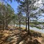 Photo of Arbor Park
