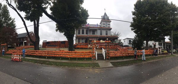 Kenova's Pumpkin House by null