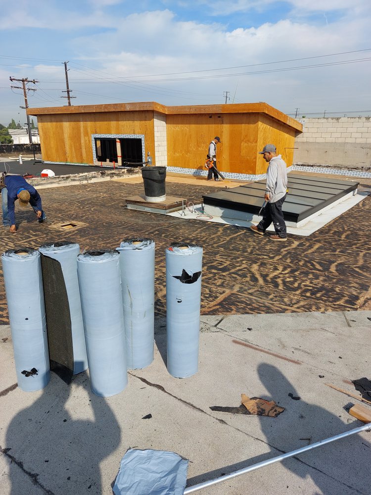 Slide of Lions Investment Group