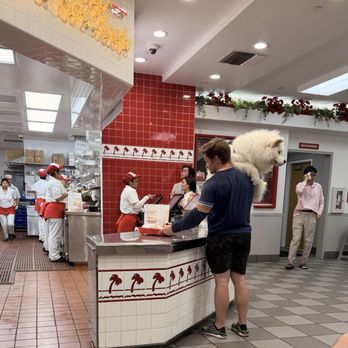 In-N-Out Burger - Dogs arse is inches from the pickup counter. No dogs and no arses on other people's food! - Burgers Near Me - Torrance, California