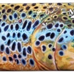 Montana Fly Company - Their fly boxes are gorgeous!