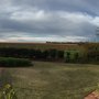Photo of Murray Street Vineyards