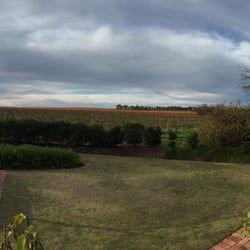 Murray Street Vineyards