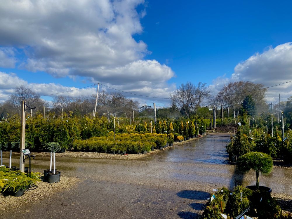 MINOR’S GARDEN CENTER Updated October 2024 21 Photos & 38 Reviews