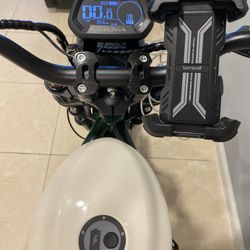 Big Cat Electric Bikes
