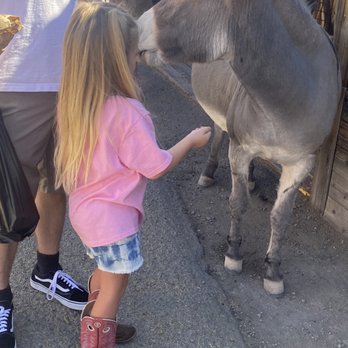 Town of Oatman - Local Flavor Near Me