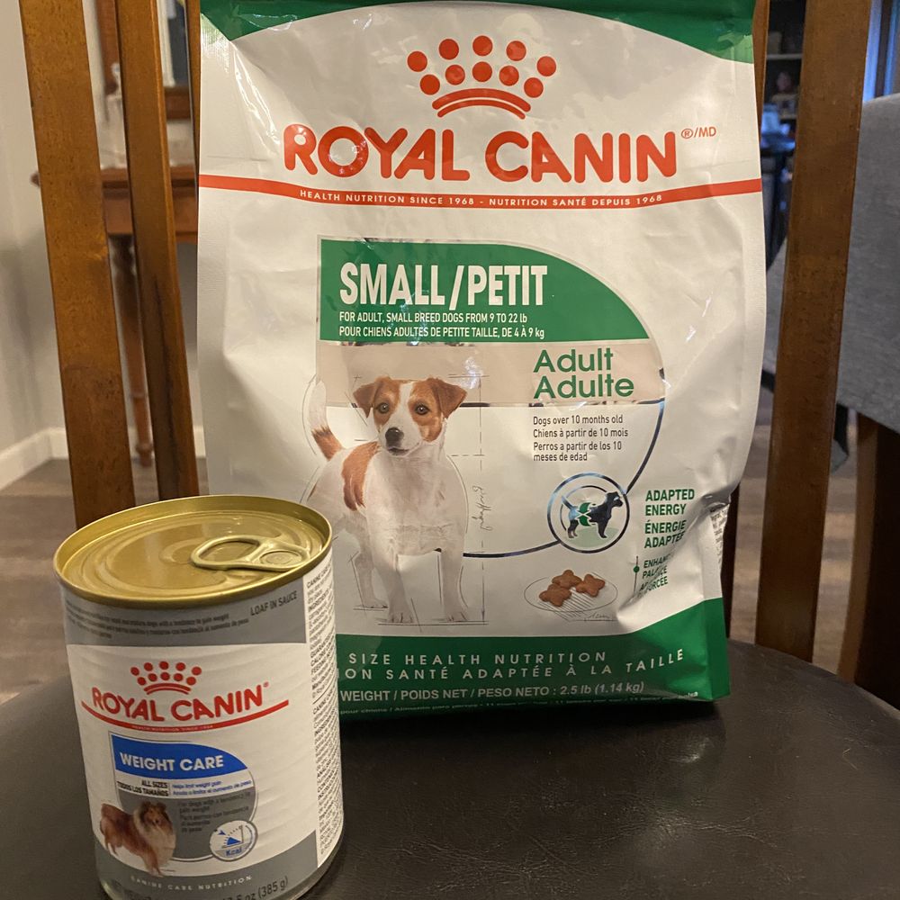 My dogs favorite My dogs favorite