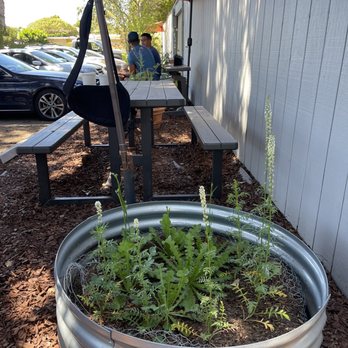 Windmill Cafe - Additional dining benches outside - Cafes Near Me - Santa Cruz, California