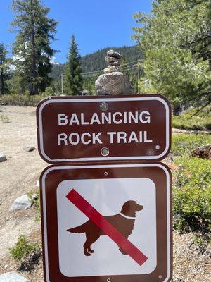 D. L. Bliss State Park by null