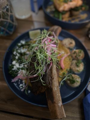 Octopus Baja by null