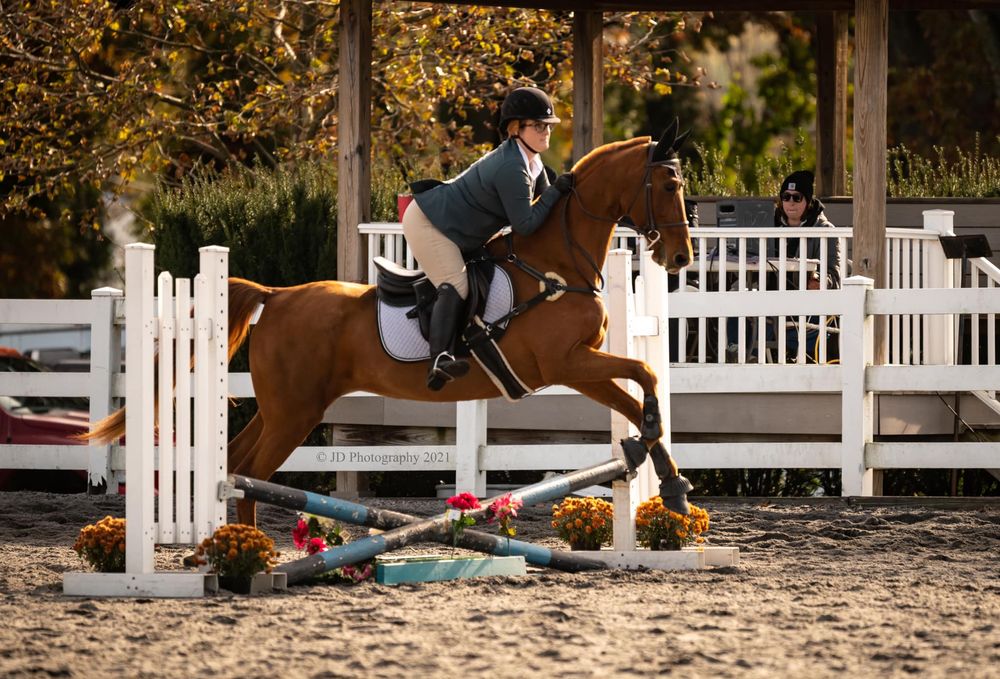 Beauview Farm - equestrian in York Haven, PA