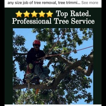 Sandoval Tree Service - Tree Services Near Me Sandoval Tree Service - Tree Services Near Me