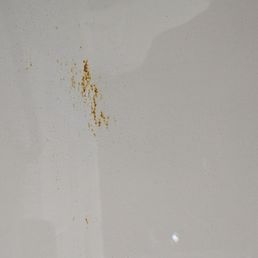 WHAT IS THIS in the tub? WHAT IS THIS in the tub?