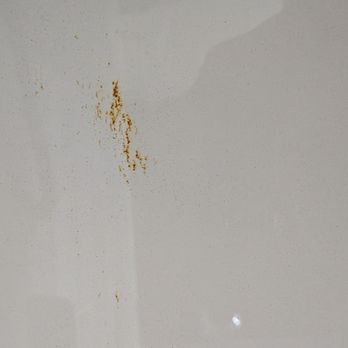 Best Western Murfreesboro - WHAT IS THIS in the tub? - Hotels Near Me - Murfreesboro, Tennessee Best Western Murfreesboro - WHAT IS THIS in the tub? - Hotels Near Me - Murfreesboro, Tennessee