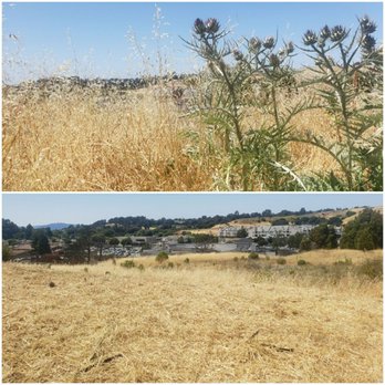 DC Elite Construction - Before: bone-dry grass and thistles.  By lunchtime: fire hazard? WHAT fire hazard? - General Contractors Near Me