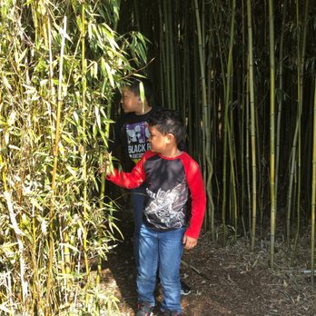 Rainforest Adventures - Spring Break - Zoos Near Me - Sevierville, Tennessee Rainforest Adventures - Spring Break - Zoos Near Me - Sevierville, Tennessee