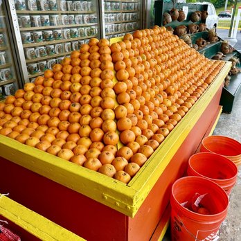 Florida Citrus Center -  oranges on display - Convenience Stores Near Me - Yulee, Florida