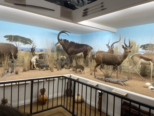 Bryce Wildlife Adventure by null