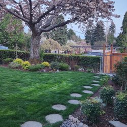Jdg Repair - complete cleaning and trimming