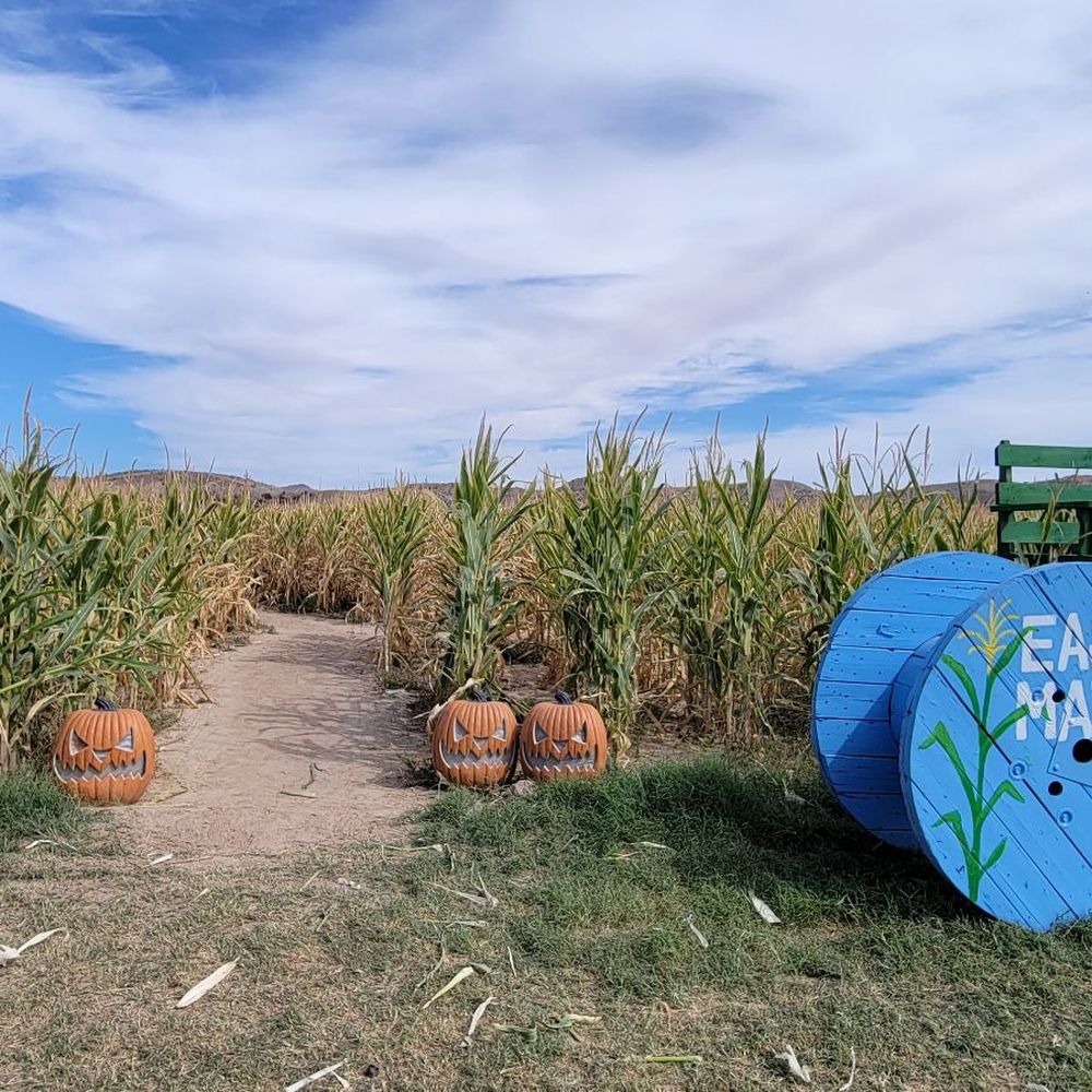 Moapa Valley Cornmaze - Attraction Farms Near Me - Logandale, Nevada