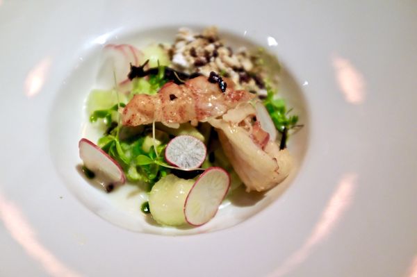 Photo of Boulevard - San Francisco, CA, US. Chilled Lobster, Avocado & White Melon Coulis, Coconut & Lime Creme Galia Melon, Chayote & Cucumber Kaffir Lime & Citron Oils, Crisp Rice