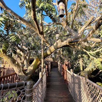 Adventureland Treehouse - Amusement Parks Near Me - Anaheim, California Adventureland Treehouse - Amusement Parks Near Me - Anaheim, California