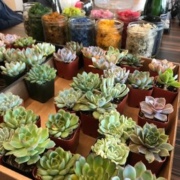 So many to choose from!! :) So many to choose from!! :)