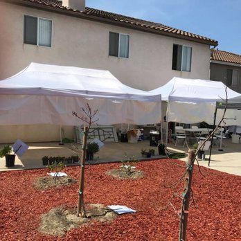 Bernard's Party Rental - White 10 x 20 popup canopy - Party Equipment Rentals Near Me Bernard's Party Rental - White 10 x 20 popup canopy - Party Equipment Rentals Near Me