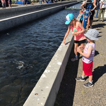Hot Creek Trout Hatchery - Fishing Near Me - Mammoth Lakes, California Hot Creek Trout Hatchery - Fishing Near Me - Mammoth Lakes, California