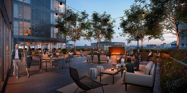 1717 Webster by null