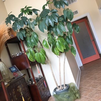 Be Well. - Waiting area - Massage Near Me - Chicago, Illinois