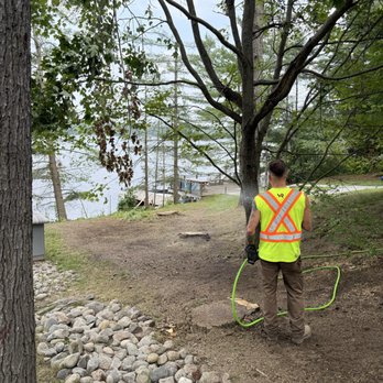 River Oak Tree Service - Tree Services Near Me River Oak Tree Service - Tree Services Near Me