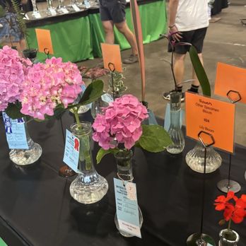 San Diego County Fair - Flower competition - Festivals Near Me - Del Mar, California San Diego County Fair - Flower competition - Festivals Near Me - Del Mar, California