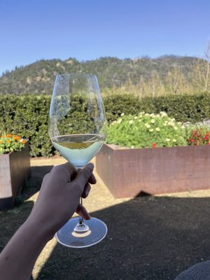 Silver Oak Alexander Valley by null